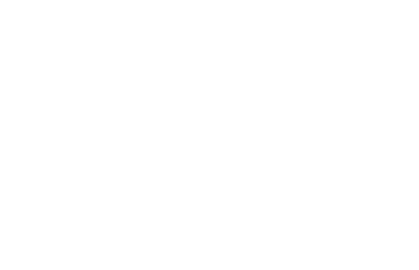 WiiLink Logo